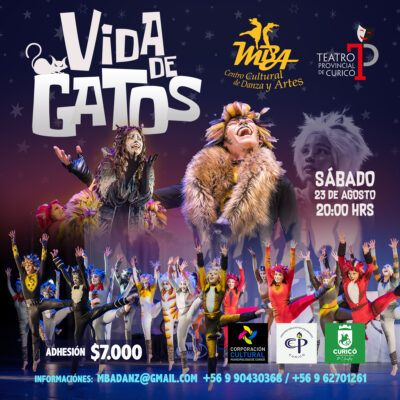 Vida de Gatos